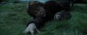 PdA-Potterish_5617.jpg