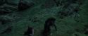 PdA-Potterish_5632.jpg