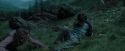 PdA-Potterish_5635.jpg