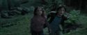 PdA-Potterish_5653.jpg