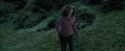PdA-Potterish_5658.jpg
