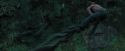 PdA-Potterish_5666.jpg