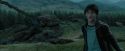 PdA-Potterish_5679.jpg