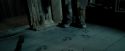 PdA-Potterish_5775.jpg