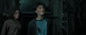 PdA-Potterish_5901.jpg