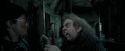 PdA-Potterish_6093.jpg