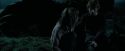 PdA-Potterish_6223.jpg