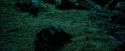 PdA-Potterish_6349.jpg