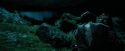 PdA-Potterish_6364.jpg