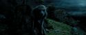 PdA-Potterish_6395.jpg