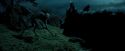 PdA-Potterish_6427.jpg
