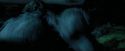 PdA-Potterish_6437.jpg