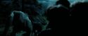 PdA-Potterish_6442.jpg