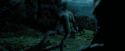 PdA-Potterish_6443.jpg