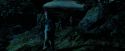 PdA-Potterish_6449.jpg