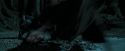 PdA-Potterish_6565.jpg