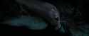 PdA-Potterish_6589.jpg