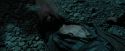 PdA-Potterish_6597.jpg