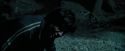 PdA-Potterish_6625.jpg