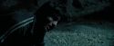 PdA-Potterish_6626.jpg