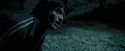 PdA-Potterish_6627.jpg