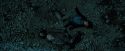 PdA-Potterish_6703.jpg