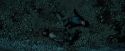 PdA-Potterish_6704.jpg