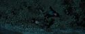 PdA-Potterish_6705.jpg