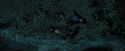 PdA-Potterish_6706.jpg