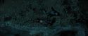 PdA-Potterish_6707.jpg