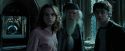 PdA-Potterish_6746.jpg