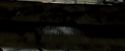 PdA-Potterish_6897.jpg