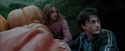 PdA-Potterish_7027.jpg