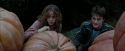 PdA-Potterish_7043.jpg