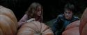 PdA-Potterish_7044.jpg