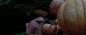 PdA-Potterish_7091.jpg