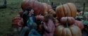 PdA-Potterish_7098.jpg