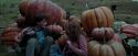 PdA-Potterish_7101.jpg
