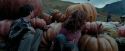 PdA-Potterish_7106.jpg