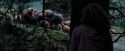 PdA-Potterish_7137.jpg