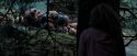 PdA-Potterish_7138.jpg