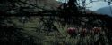 PdA-Potterish_7165.jpg