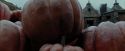 PdA-Potterish_7171.jpg
