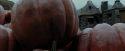 PdA-Potterish_7172.jpg