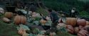 PdA-Potterish_7180.jpg