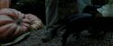 PdA-Potterish_7184.jpg