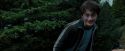 PdA-Potterish_7186.jpg