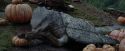 PdA-Potterish_7229.jpg