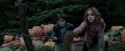 PdA-Potterish_7244.jpg