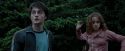 PdA-Potterish_7270.jpg